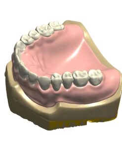 Digital Denture CAD Design Service for 3D printing and milling workflows