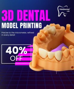 High-capacity 3D Dental Model Printing Service for B2B dental labs